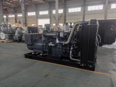 300 千瓦柴油發(fā)電機(jī)組(柴動(dòng)力)技術(shù)參數(shù)與配置說明